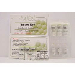 KEIFEI HCG - Progonda 5000 1vial/1amp